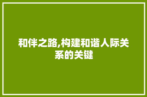和伴之路,构建和谐人际关系的关键