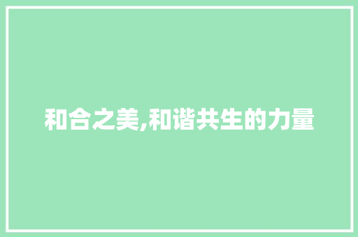 和合之美,和谐共生的力量