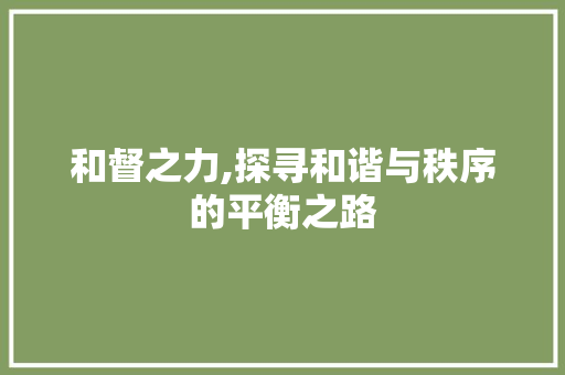 和督之力,探寻和谐与秩序的平衡之路