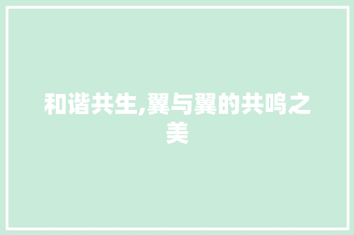 和谐共生,翼与翼的共鸣之美