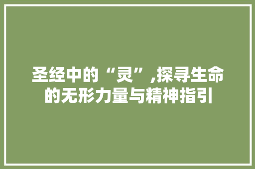 圣经中的“灵”,探寻生命的无形力量与精神指引