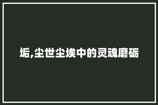垢,尘世尘埃中的灵魂磨砺