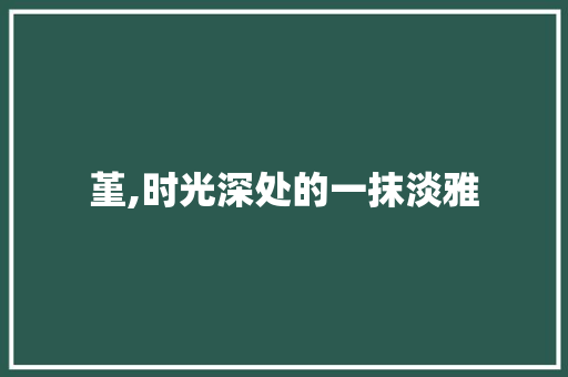 堇,时光深处的一抹淡雅