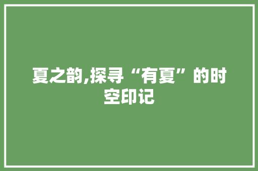 夏之韵,探寻“有夏”的时空印记