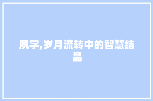 夙字,岁月流转中的智慧结晶 采访稿