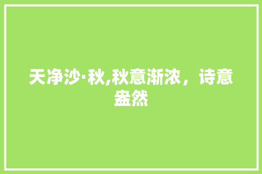 天净沙·秋,秋意渐浓，诗意盎然