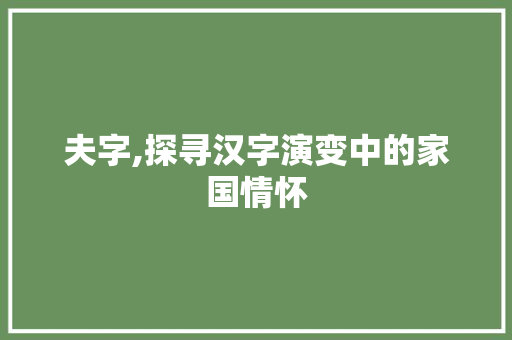 夫字,探寻汉字演变中的家国情怀