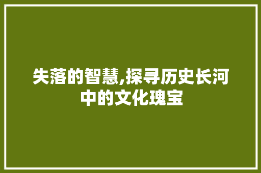 失落的智慧,探寻历史长河中的文化瑰宝 工作总结