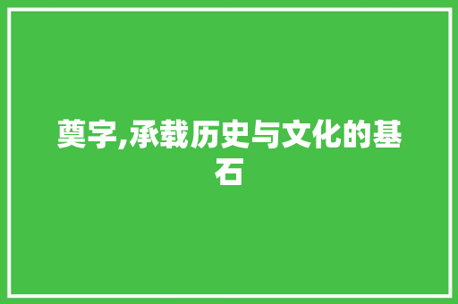 奠字,承载历史与文化的基石 工作总结