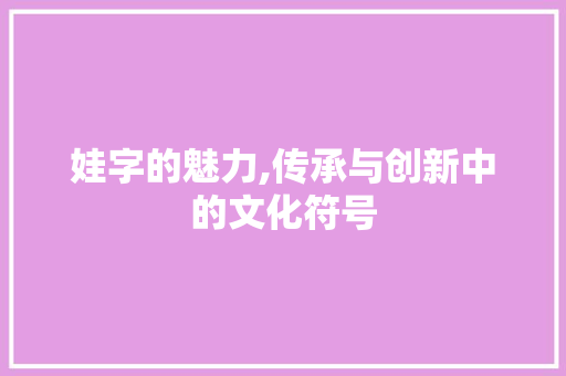 娃字的魅力,传承与创新中的文化符号 工作总结