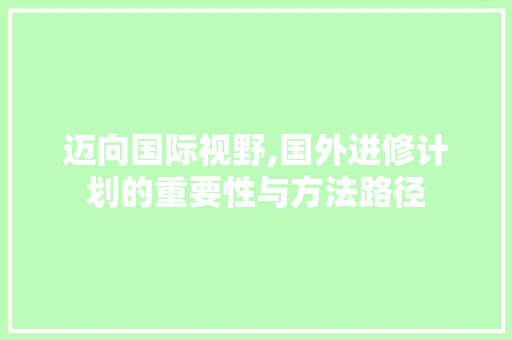 迈向国际视野,国外进修计划的重要性与方法路径