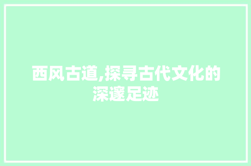 西风古道,探寻古代文化的深邃足迹 采访稿