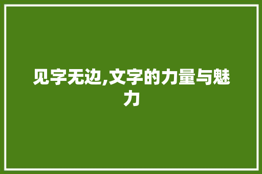 见字无边,文字的力量与魅力