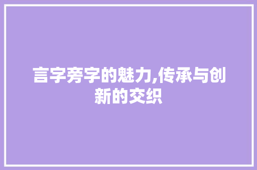 言字旁字的魅力,传承与创新的交织