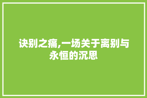诀别之痛,一场关于离别与永恒的沉思
