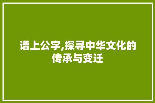 谱上公字,探寻中华文化的传承与变迁