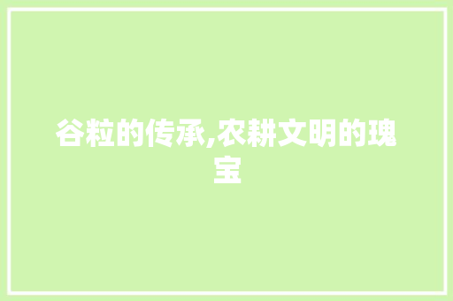 谷粒的传承,农耕文明的瑰宝