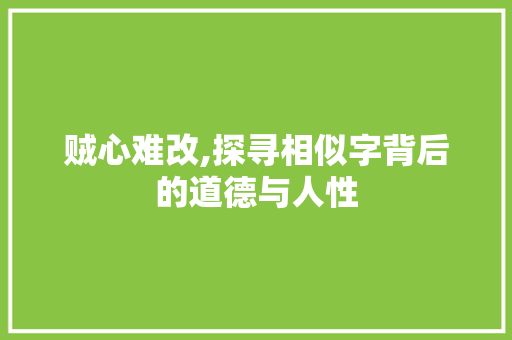 贼心难改,探寻相似字背后的道德与人性