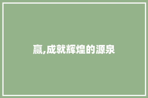 赢,成就辉煌的源泉