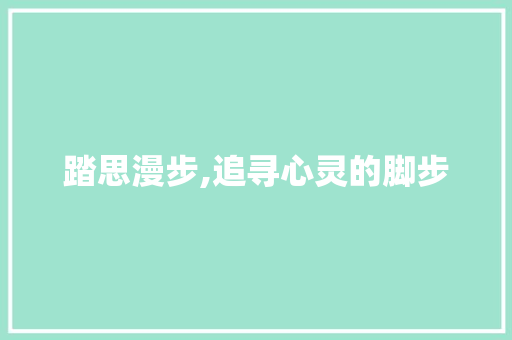 踏思漫步,追寻心灵的脚步
