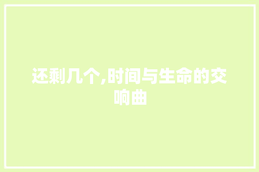 还剩几个,时间与生命的交响曲