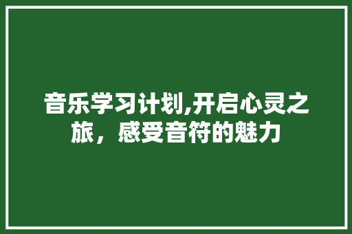 音乐学习计划,开启心灵之旅，感受音符的魅力