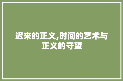 迟来的正义,时间的艺术与正义的守望
