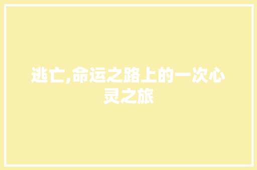 逃亡,命运之路上的一次心灵之旅