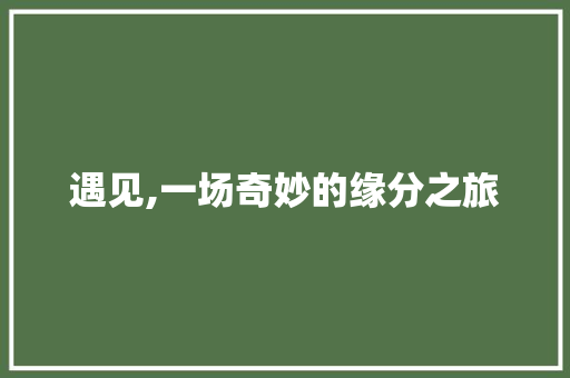 遇见,一场奇妙的缘分之旅