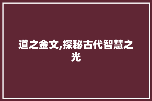 道之金文,探秘古代智慧之光