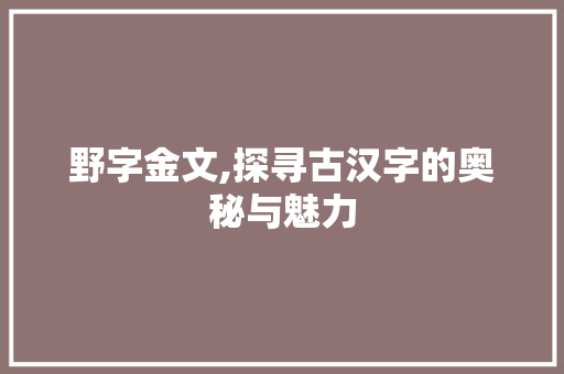 野字金文,探寻古汉字的奥秘与魅力 特写稿
