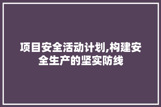 项目安全活动计划,构建安全生产的坚实防线