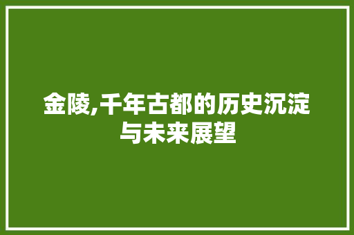 金陵,千年古都的历史沉淀与未来展望
