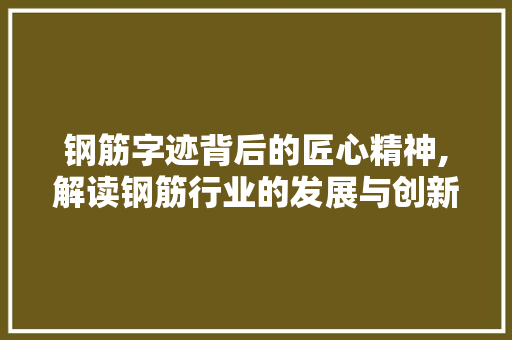 钢筋字迹背后的匠心精神,解读钢筋行业的发展与创新