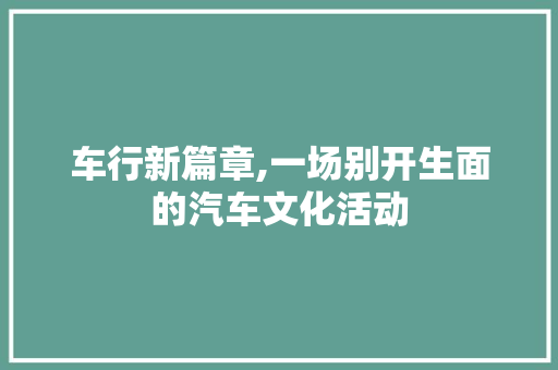 车行新篇章,一场别开生面的汽车文化活动
