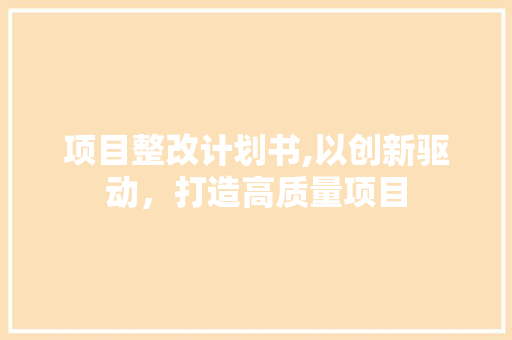 项目整改计划书,以创新驱动，打造高质量项目