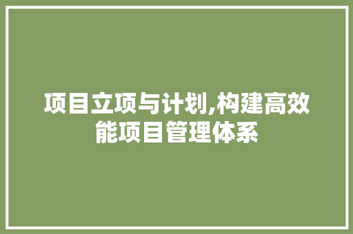 项目立项与计划,构建高效能项目管理体系