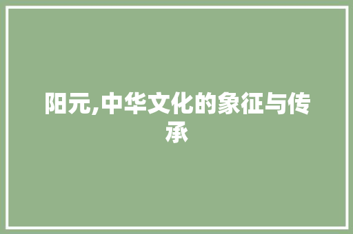 阳元,中华文化的象征与传承