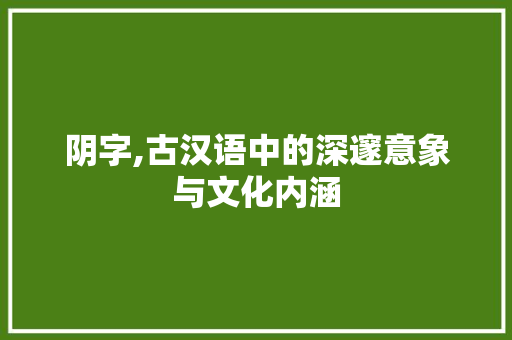 阴字,古汉语中的深邃意象与文化内涵