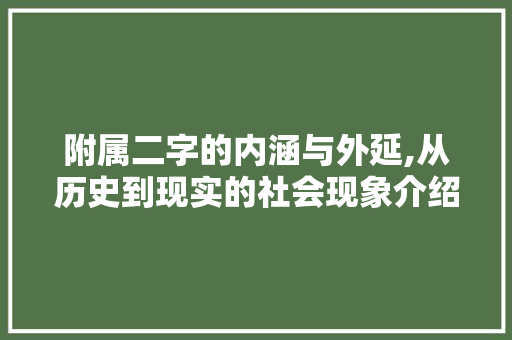 附属二字的内涵与外延,从历史到现实的社会现象介绍