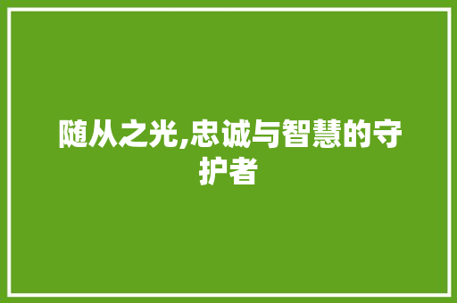 随从之光,忠诚与智慧的守护者