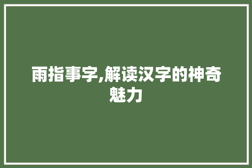 雨指事字,解读汉字的神奇魅力