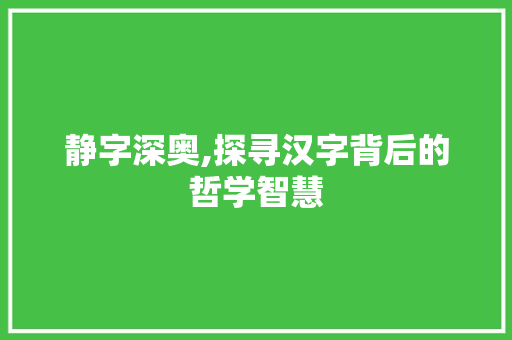 静字深奥,探寻汉字背后的哲学智慧