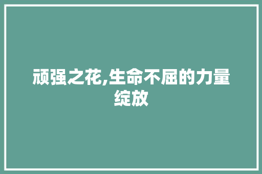 顽强之花,生命不屈的力量绽放