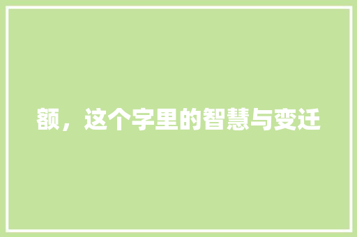 额，这个字里的智慧与变迁