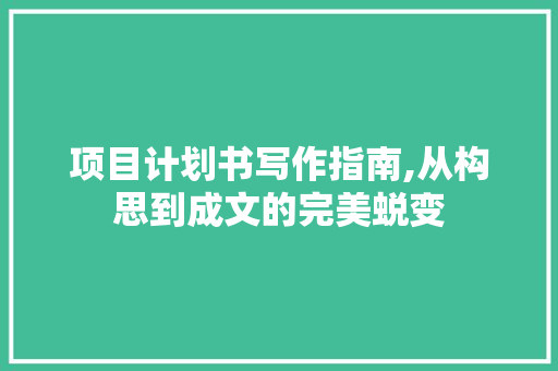 项目计划书写作指南,从构思到成文的完美蜕变