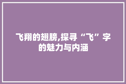 飞翔的翅膀,探寻“飞”字的魅力与内涵
