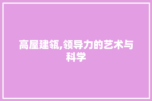 高屋建瓴,领导力的艺术与科学