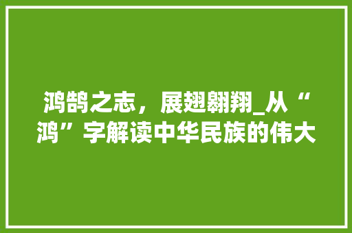 鸿鹄之志，展翅翱翔_从“鸿”字解读中华民族的伟大精神