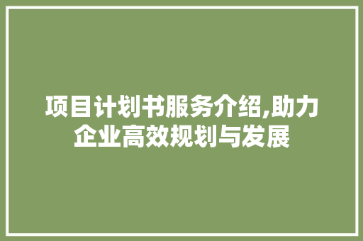 项目计划书服务介绍,助力企业高效规划与发展